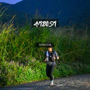 Runner Photo 619333