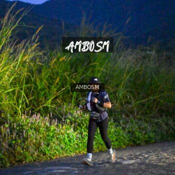 Runner Photo 619367