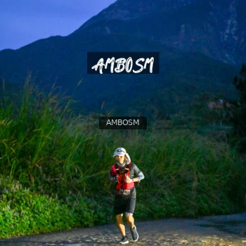 Runner Photo 619416