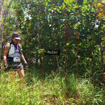 Runner Photo 6204