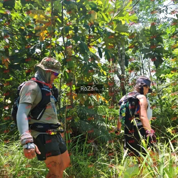 Runner Photo 6213