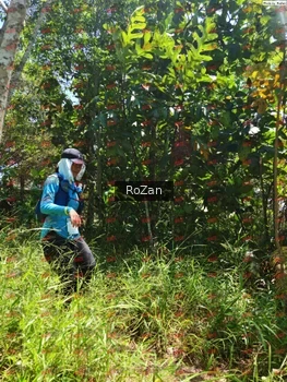 Runner Photo 6215
