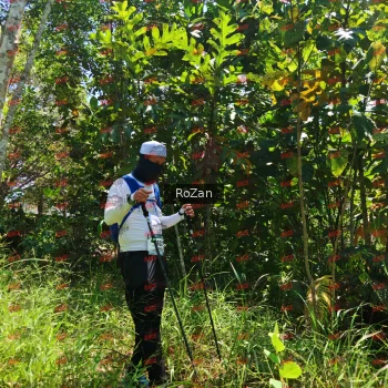Runner Photo 6241