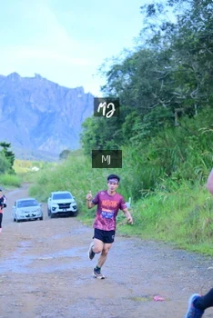 Runner Photo 624686