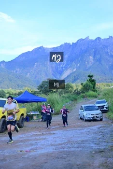 Runner Photo 624707