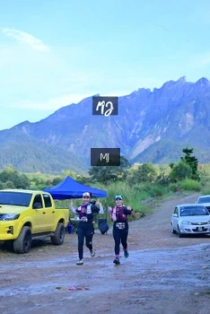 Runner Photo 624719