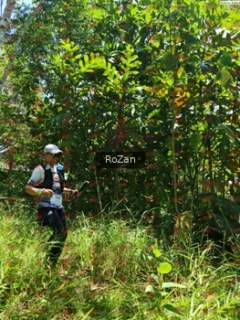 Runner Photo 6252