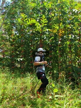 Runner Photo 6255