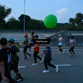 Runner Photo 6256141