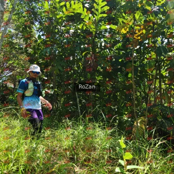 Runner Photo 6257