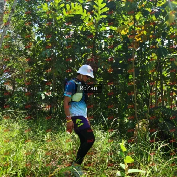 Runner Photo 6259