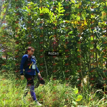 Runner Photo 6281