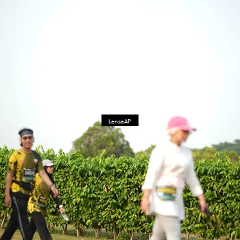 Runner Photo 6288553