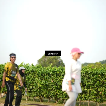 Runner Photo 6288554