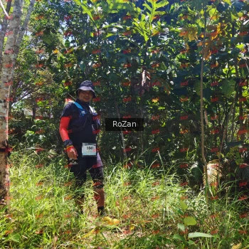 Runner Photo 6293