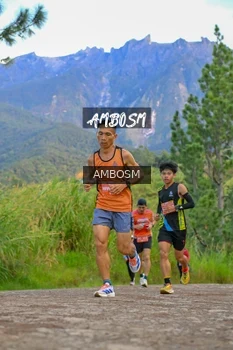 Runner Photo 631663