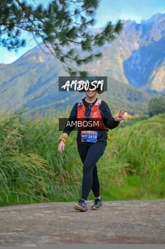 Runner Photo 631899