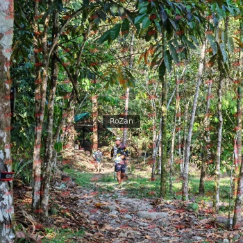 Runner Photo 6324
