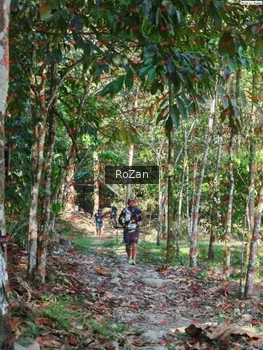 Runner Photo 6328