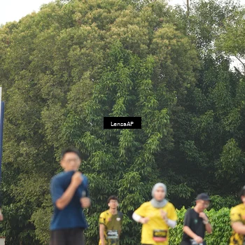 Runner Photo 6331635