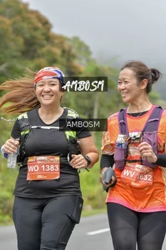 Runner Photo 633723
