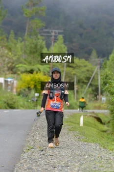 Runner Photo 633737