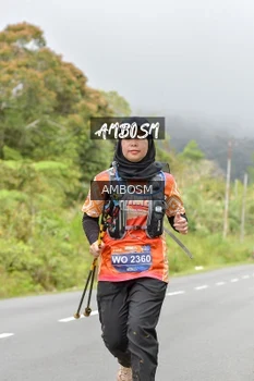 Runner Photo 633747