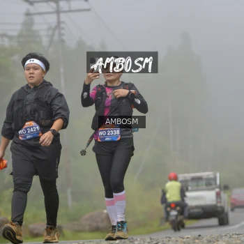 Runner Photo 634668