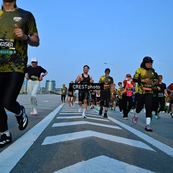 Runner Photo 6352012