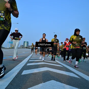 Runner Photo 6352025