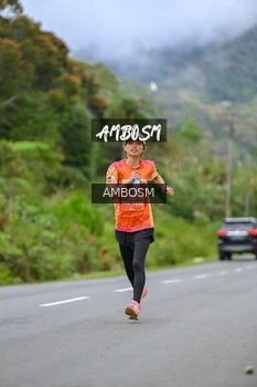 Runner Photo 635403