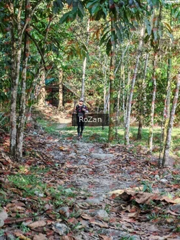 Runner Photo 6363