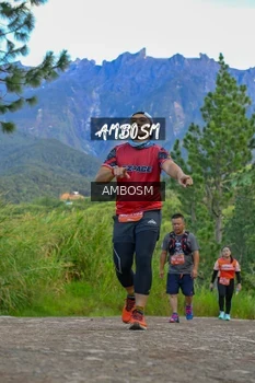 Runner Photo 637129