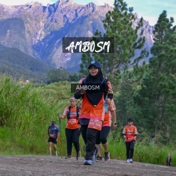 Runner Photo 637189