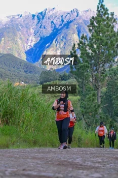 Runner Photo 637661