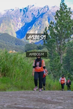 Runner Photo 637662