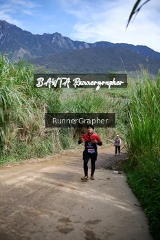 Runner Photo 639231