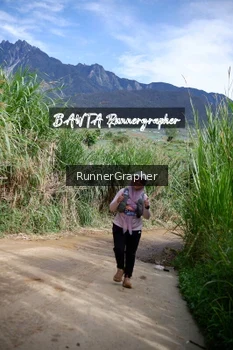 Runner Photo 639233