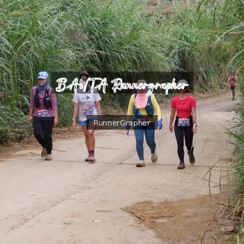 Runner Photo 639338
