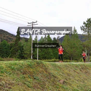 Runner Photo 639679