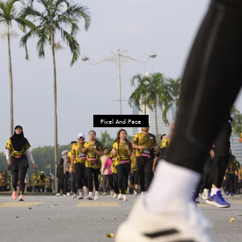 Runner Photo 6448095