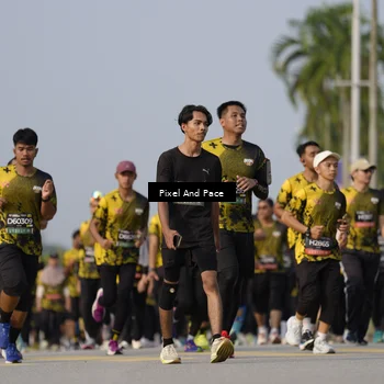 Runner Photo 6456845