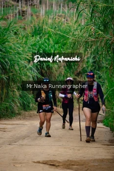 Runner Photo 646052