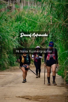 Runner Photo 646069
