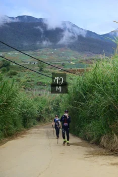 Runner Photo 646940