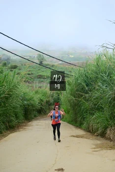 Runner Photo 647154