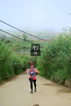 Runner Photo 647157
