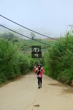 Runner Photo 647236