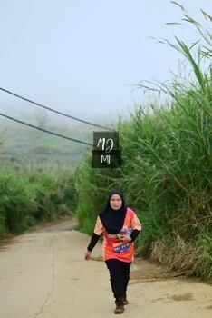 Runner Photo 647274