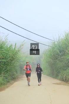 Runner Photo 647301